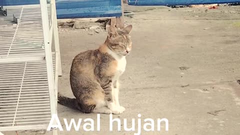 Awalnya hujan