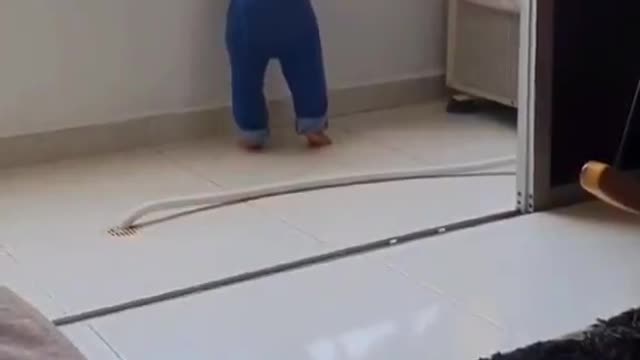 When your cat has better parenting skills than you.