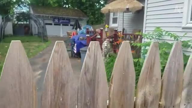 Funny video