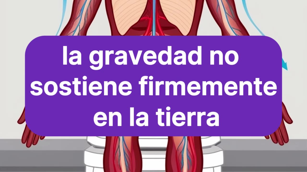 Porque resulta un inconveniente permanecer demasiado tiempo sentado en el indoro.