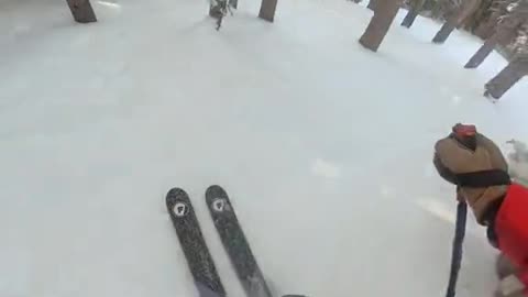 extreme downhill skiing