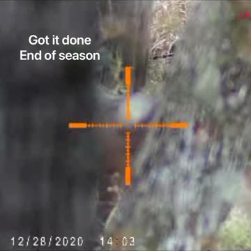 Deer hunt 28 December 2020