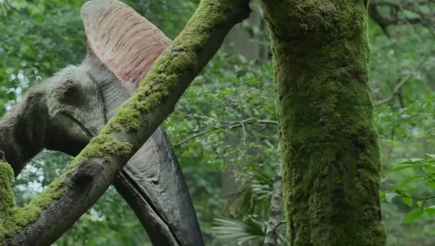 Planet pré-histórico episódio 05