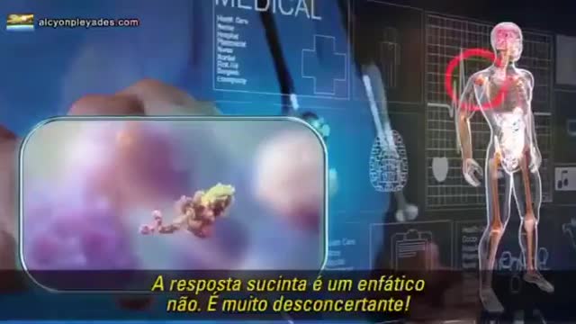 Vacinas - Imunologista explica como a proteina Espigão representa uma toxina perigosa
