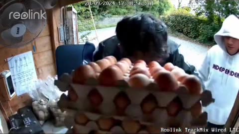 📍Ireland Foreigners steal eggs and potatoes from an honesty box. The Jews sent them!