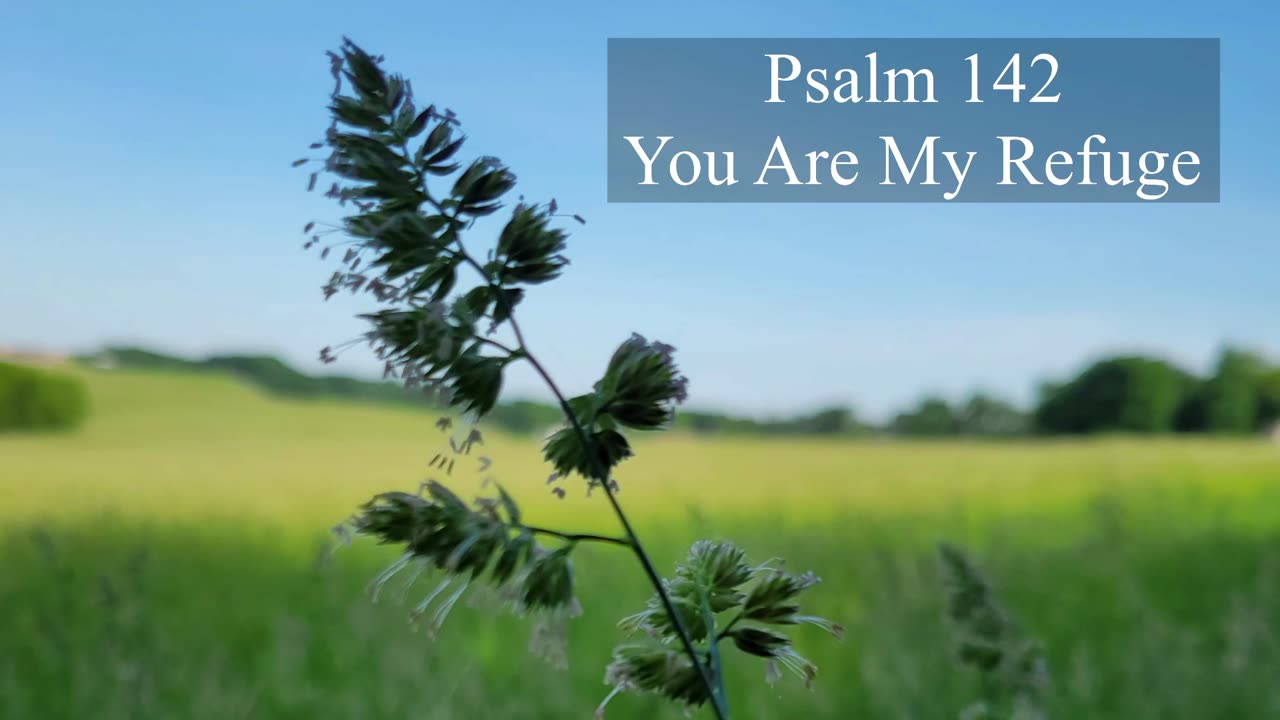 Psalm 142 - ESV Audio