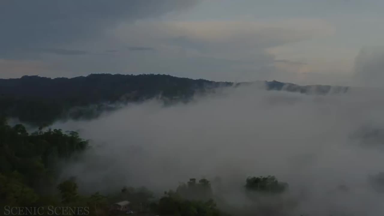 Amazon 4k - The World’s Largest Tropical Rainforest Part 2 Jungle Sounds Scenic Relaxation Film