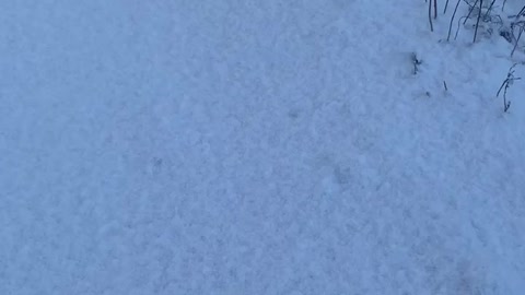 Snow at hillside area