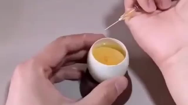 A Chicken growing inside an egg