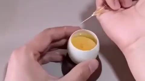 A Chicken growing inside an egg