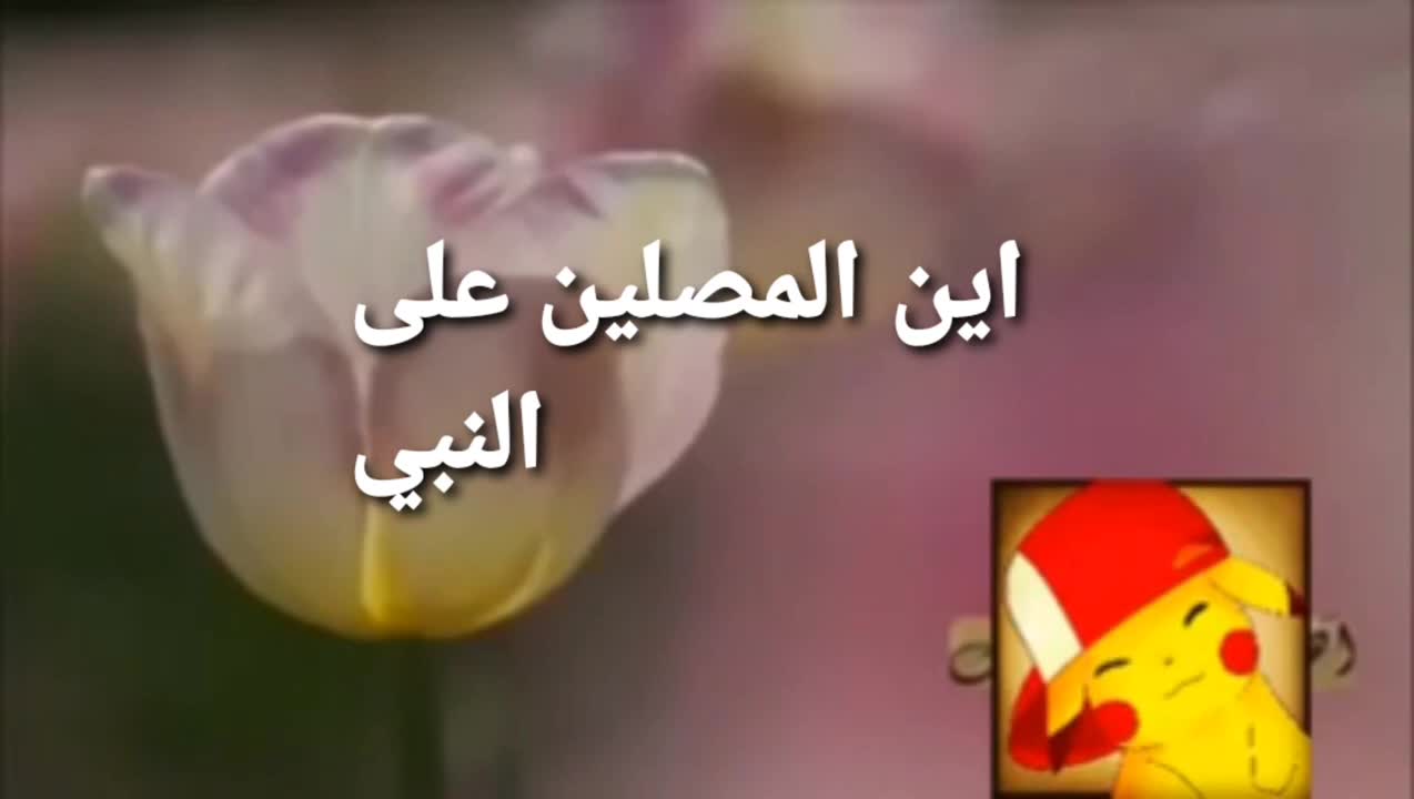 سنة النبي