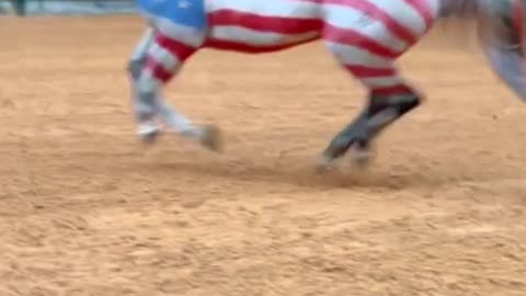Freedom! USA!