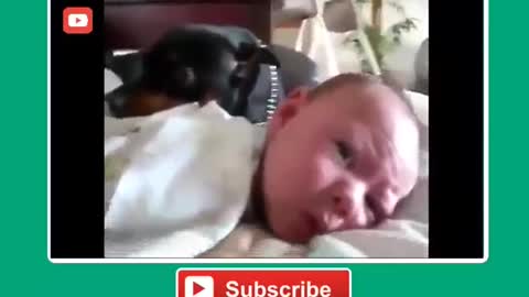 You will Love Dogs 100% more after You Watch this !