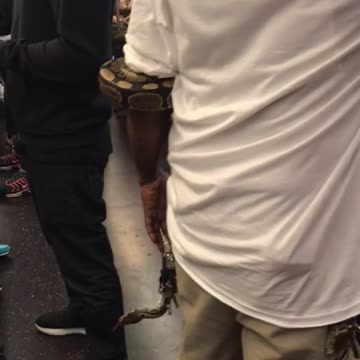 Man in white holding snake in arm on subway