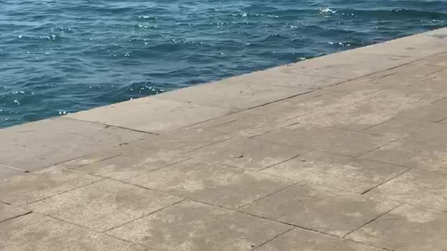 Отдых на море Portoroš