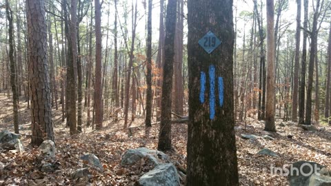 Ouachita Trail 2019/2020 - Blue Blaze Compilation