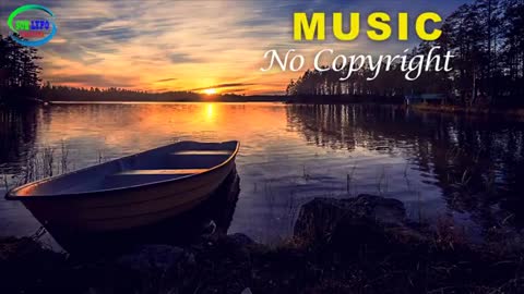 Relaxing Music | Sleeping, Meditation, Stress Relief | [1706] ⭐️