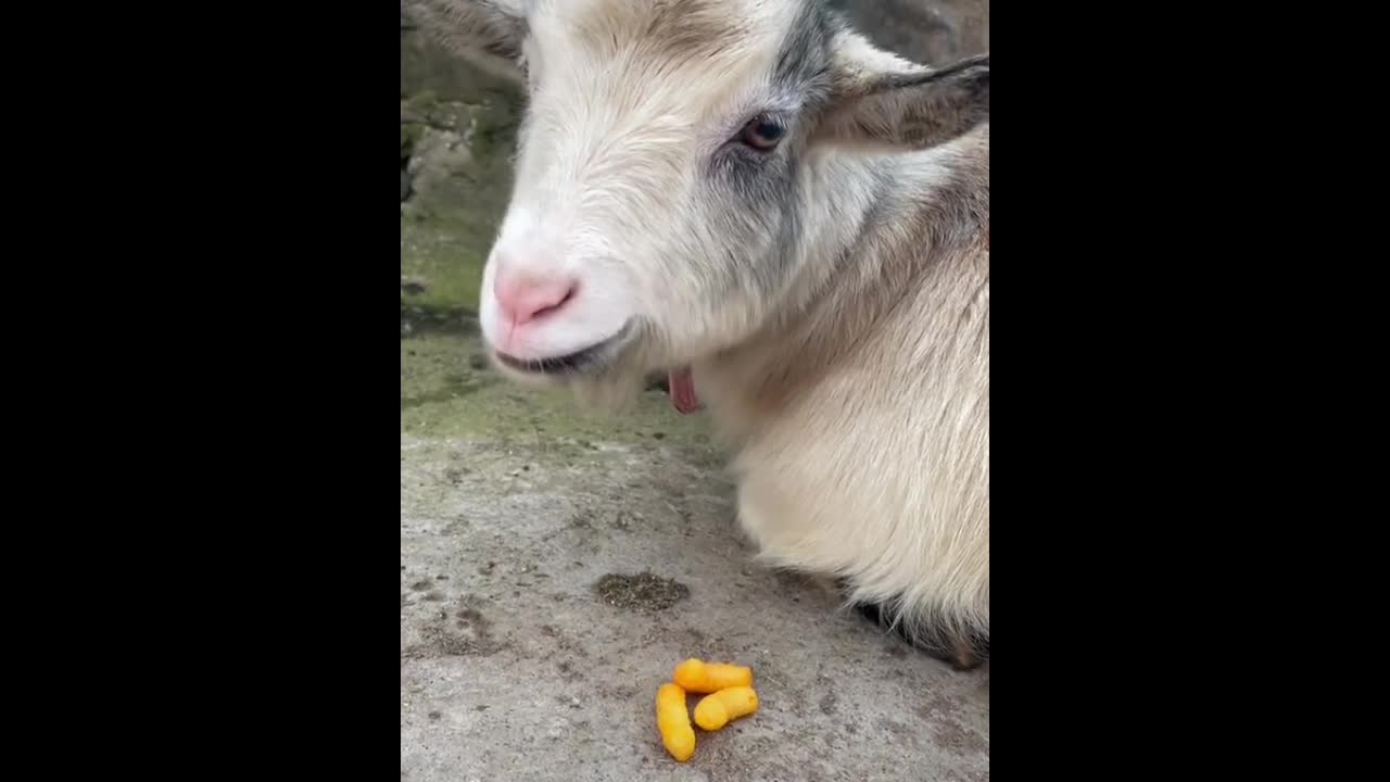 Watching him eat makes me hungry