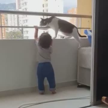 The cat who keeps an eye on the child