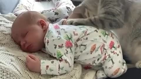 Kitten together with baby.