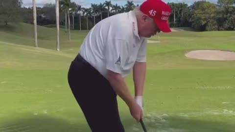 Incredible Champion President Trump