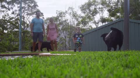 Benefits of Buffalo Lawn Guide CT Lawns Turf Brisbane QLD Australia