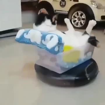 How you can help you with house cleaning