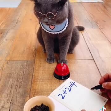 እሰኪ እንሳቅ