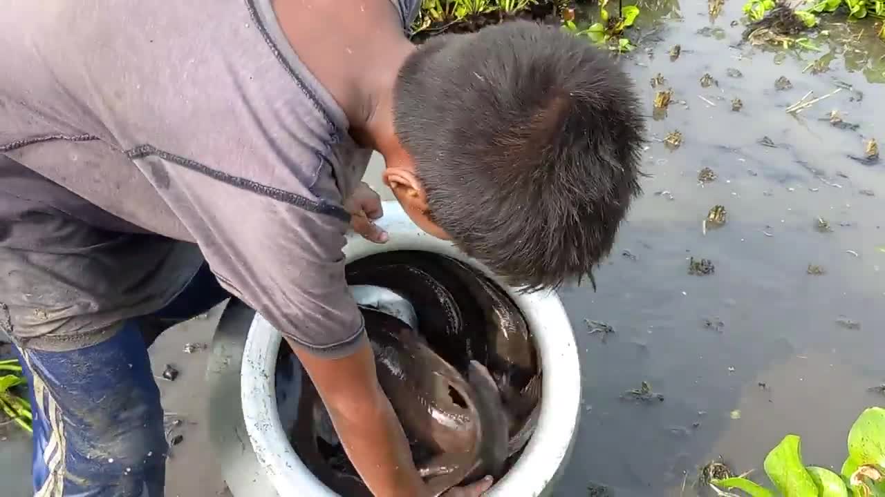 Village Fishing