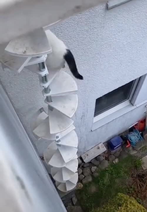 look at how ridiculous it is