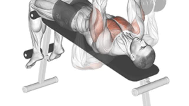 The unlimited upper chest workout &lower chest workout