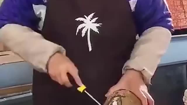 Top Trending | The Best TikTok Videos Compilation