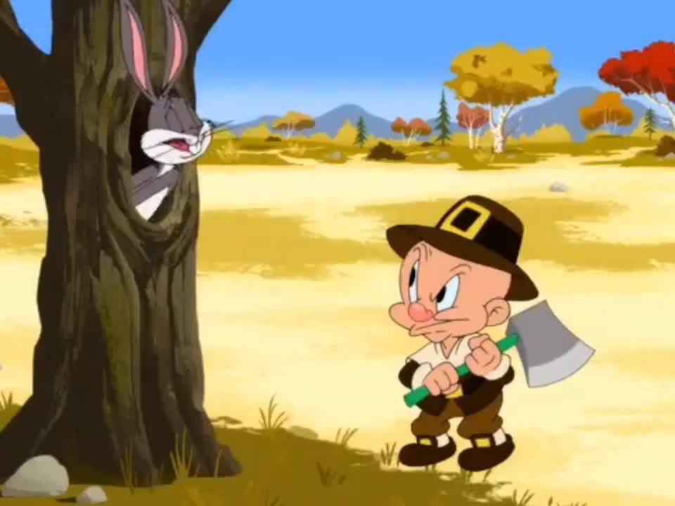 Looney Tunes Cartoons |Bugs Bunny/Elmer Fudd