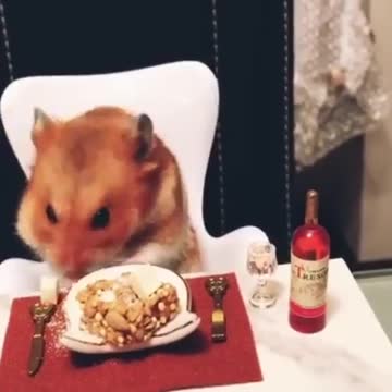 join him for the lunch