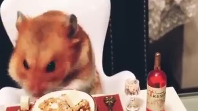 join him for the lunch