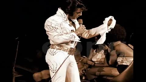 Elvis Presley Shake A Hand HD