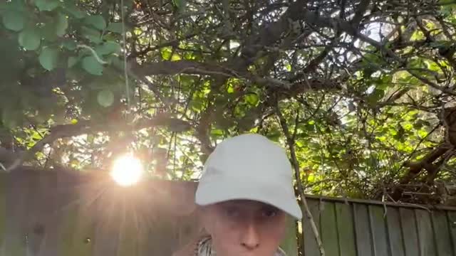 wake from the dream- street poetry reading