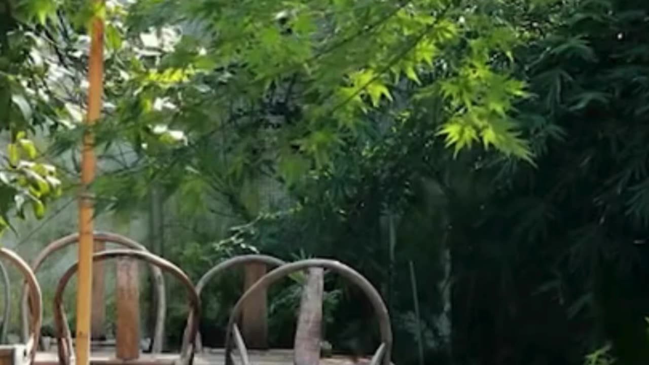 Những người bạn