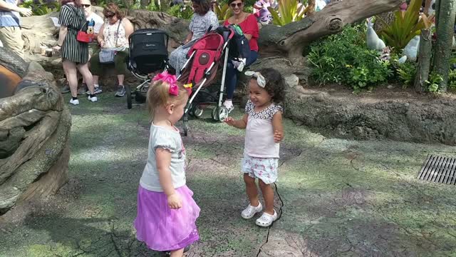 Disney 2020 4- Animal Kingdom