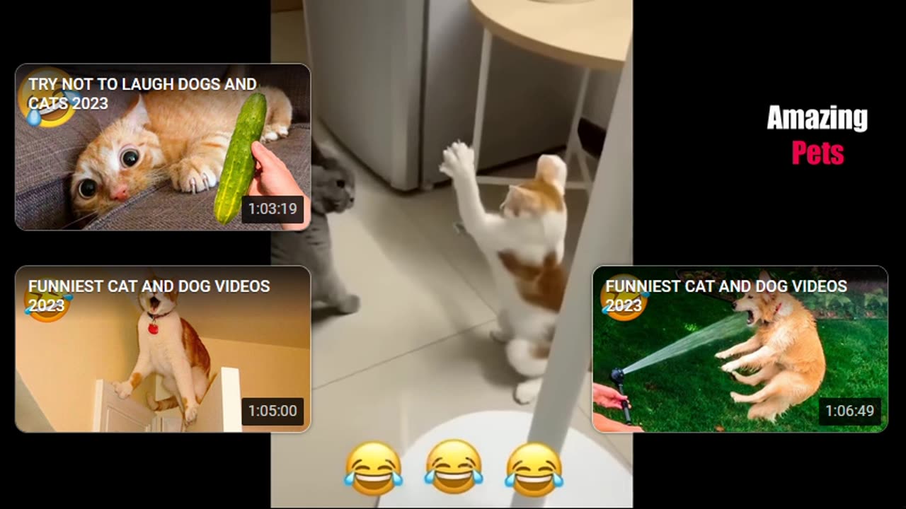 🐱🐶Angry Cats vs Funny Dogs 😆🐱