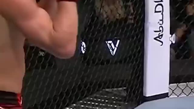 UFC FIGHT HIGHLIGHTS