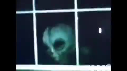 Alien Peeking Through The Window