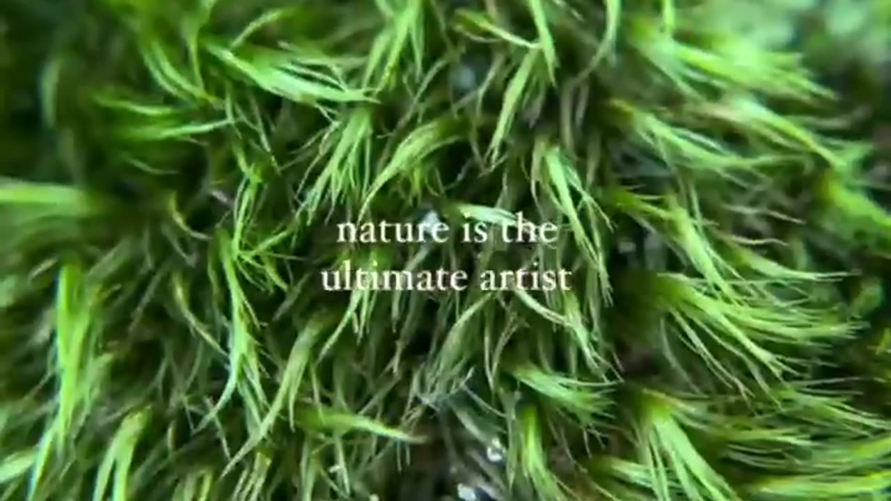 Nature is intelligent Art / coherent Design / self sustaining Science