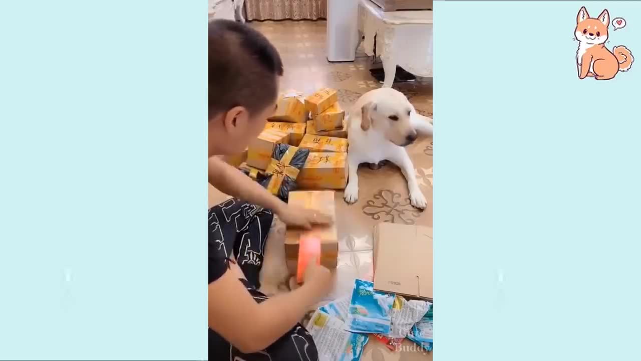 Cute Puppies 😍 Cute Funny and Smart Dogs Compilation #1 new sweet 2021