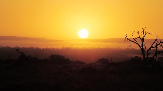 Amazing Golden Sunrise Footage