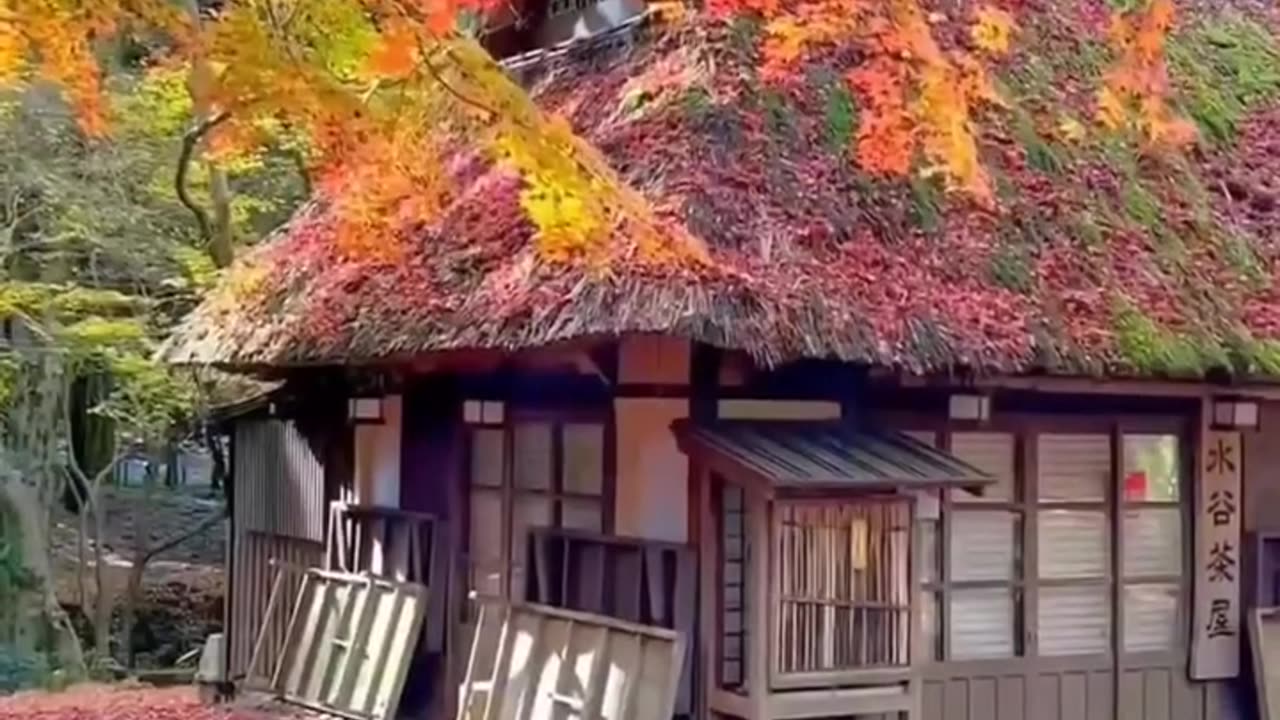 Amazing Country