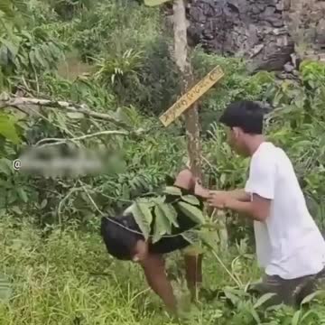 Funny Monkey... 🤣🤣🤣🤣