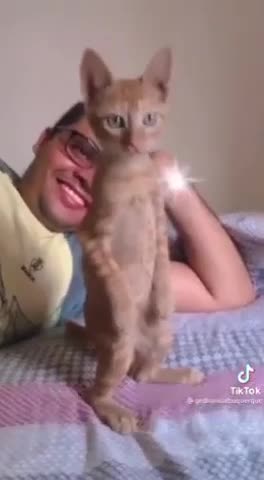 nadchodzi NOWY WAŁ ;-)