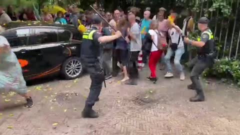 Manif anti confinement aux Pays-bas : Mattraquage en règle pour les gogoys battaves