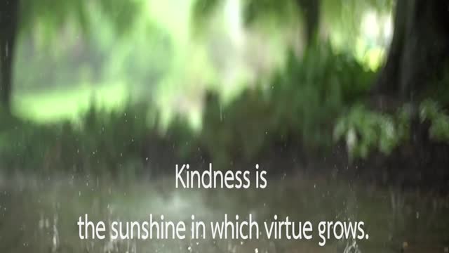 Kindness Quotes